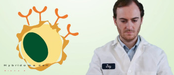 Receive a free OriGene Mask